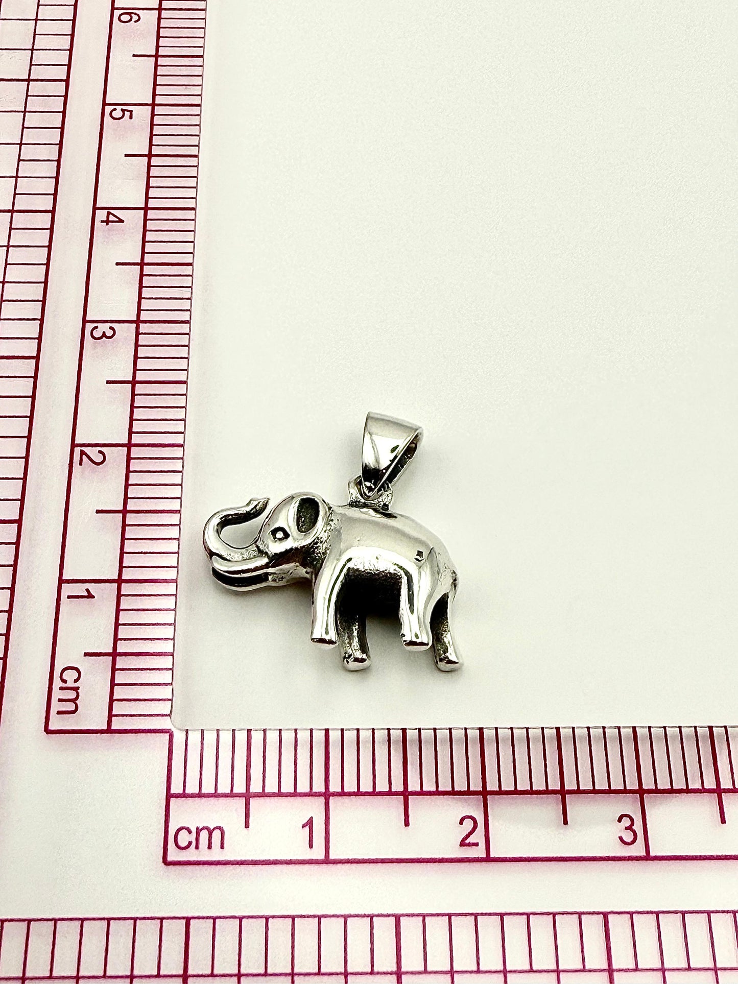 Noble Trunk Pendant Sterling Silver 925
