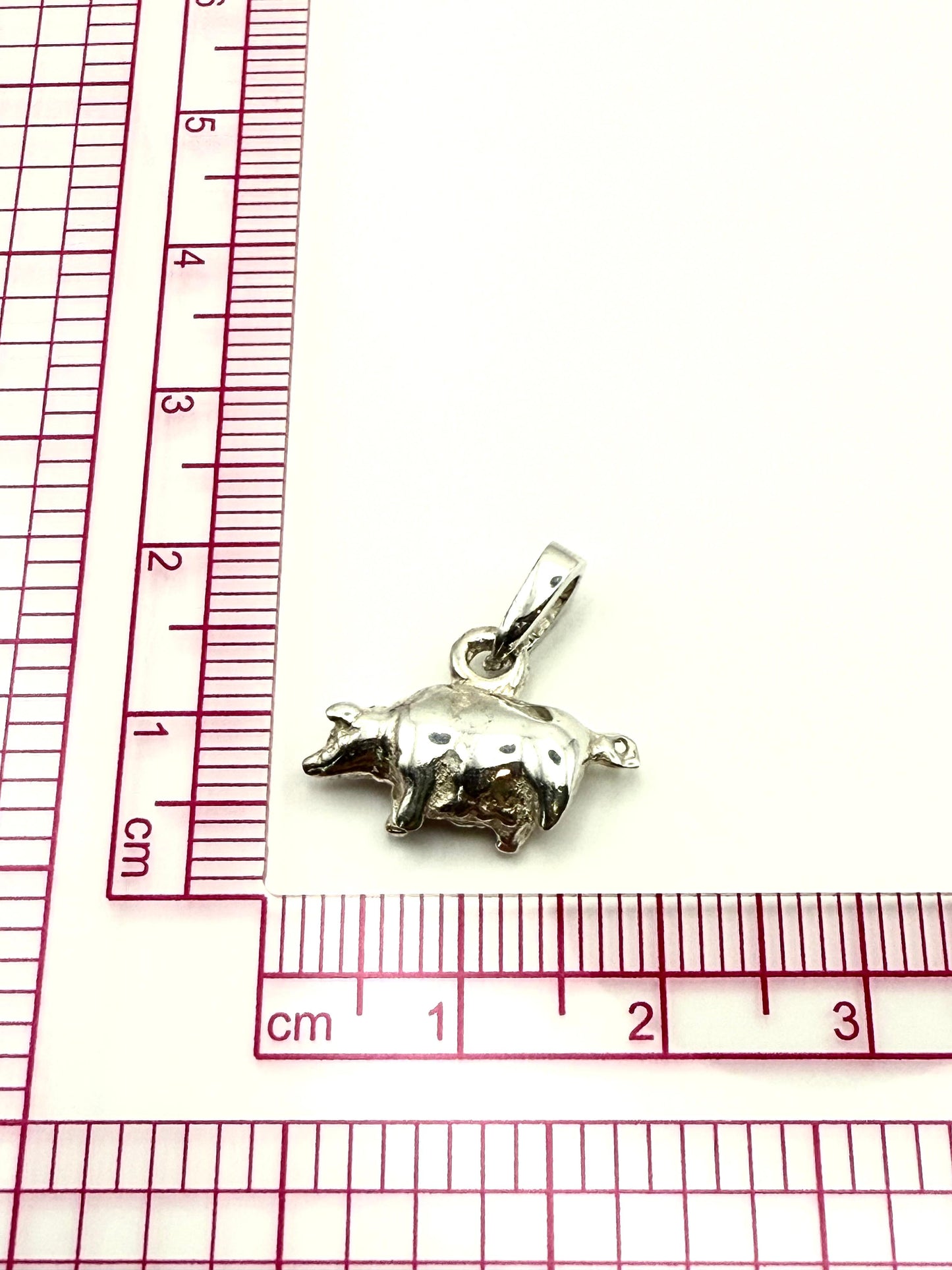 Little Pepperoni Pendant Sterling Silver 925