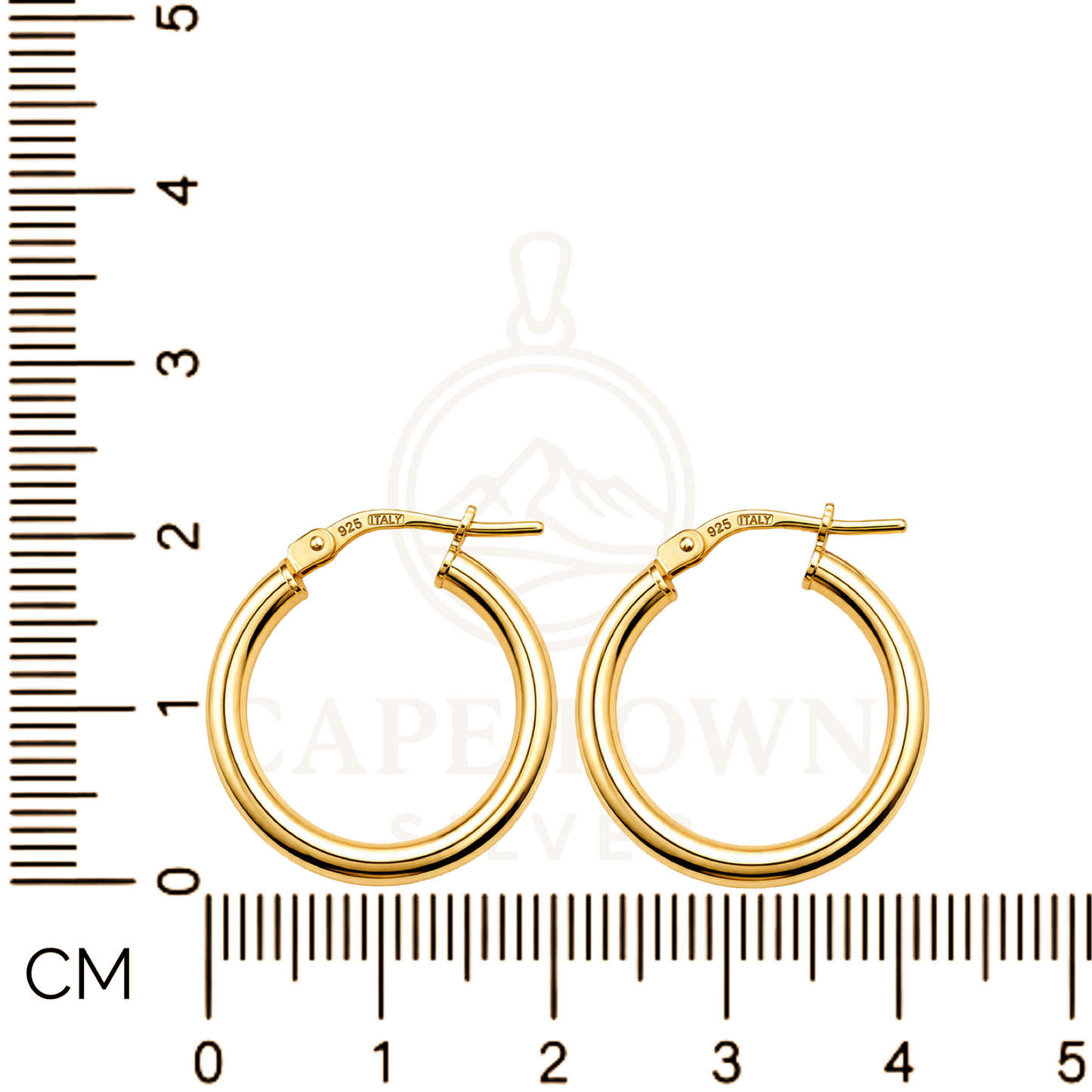 Gold-Plated Sterling Silver 925 Hoop Earrings