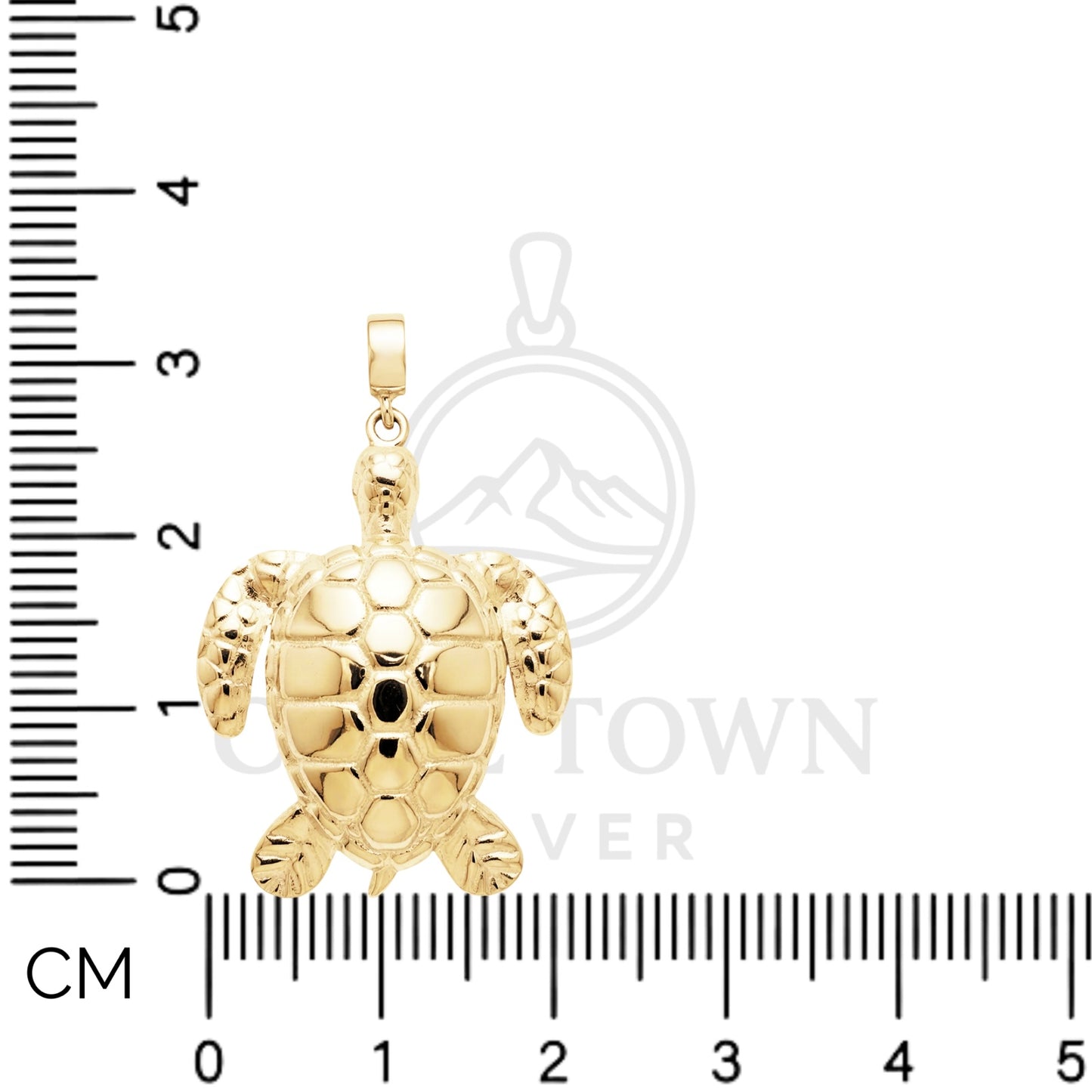 Signature Sea Turtle 9 ct AU