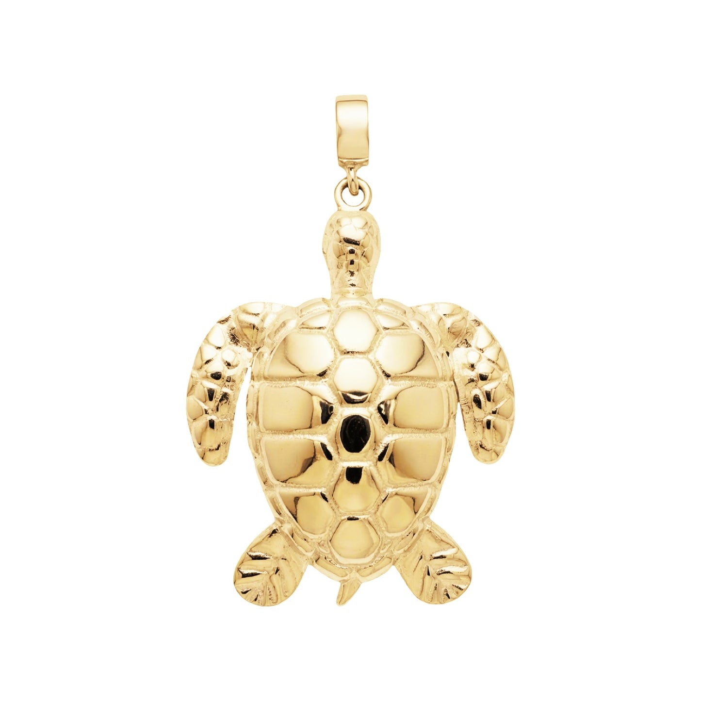 Signature Sea Turtle 9 ct AU