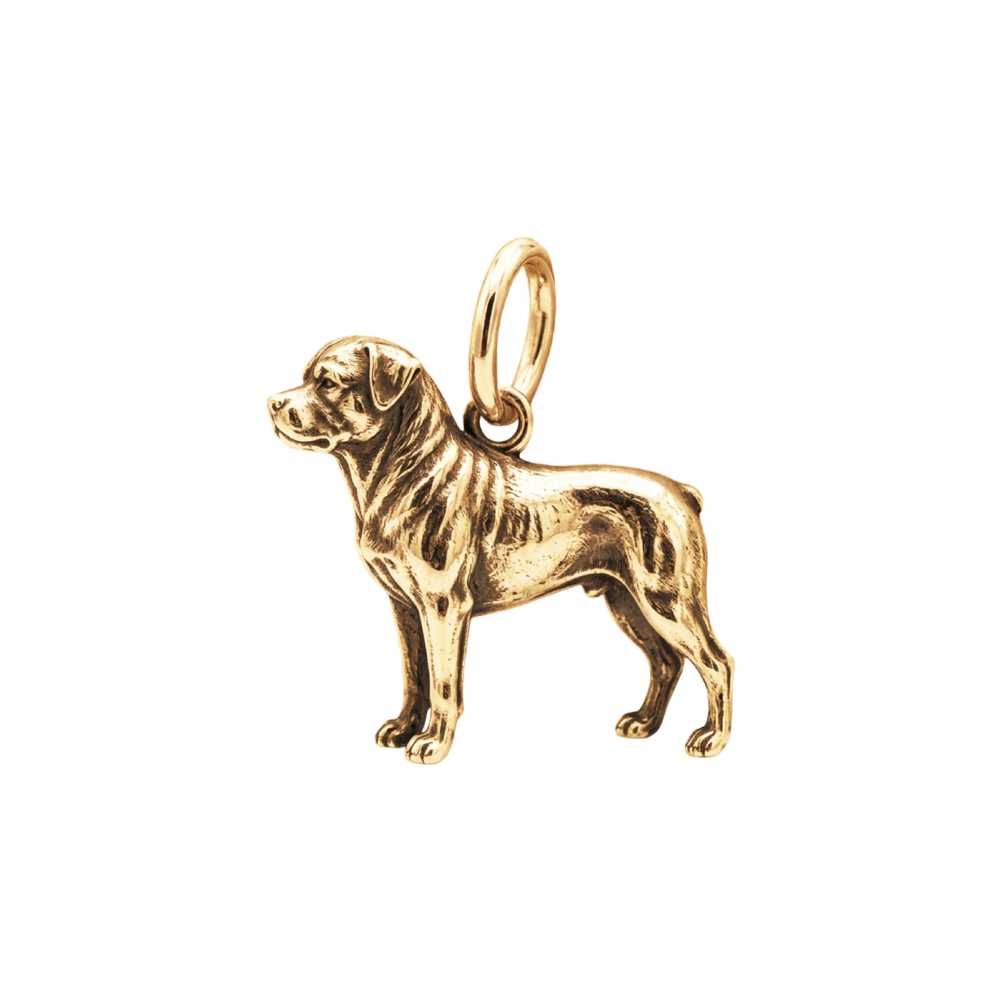 Rottweiler Charm Pendant