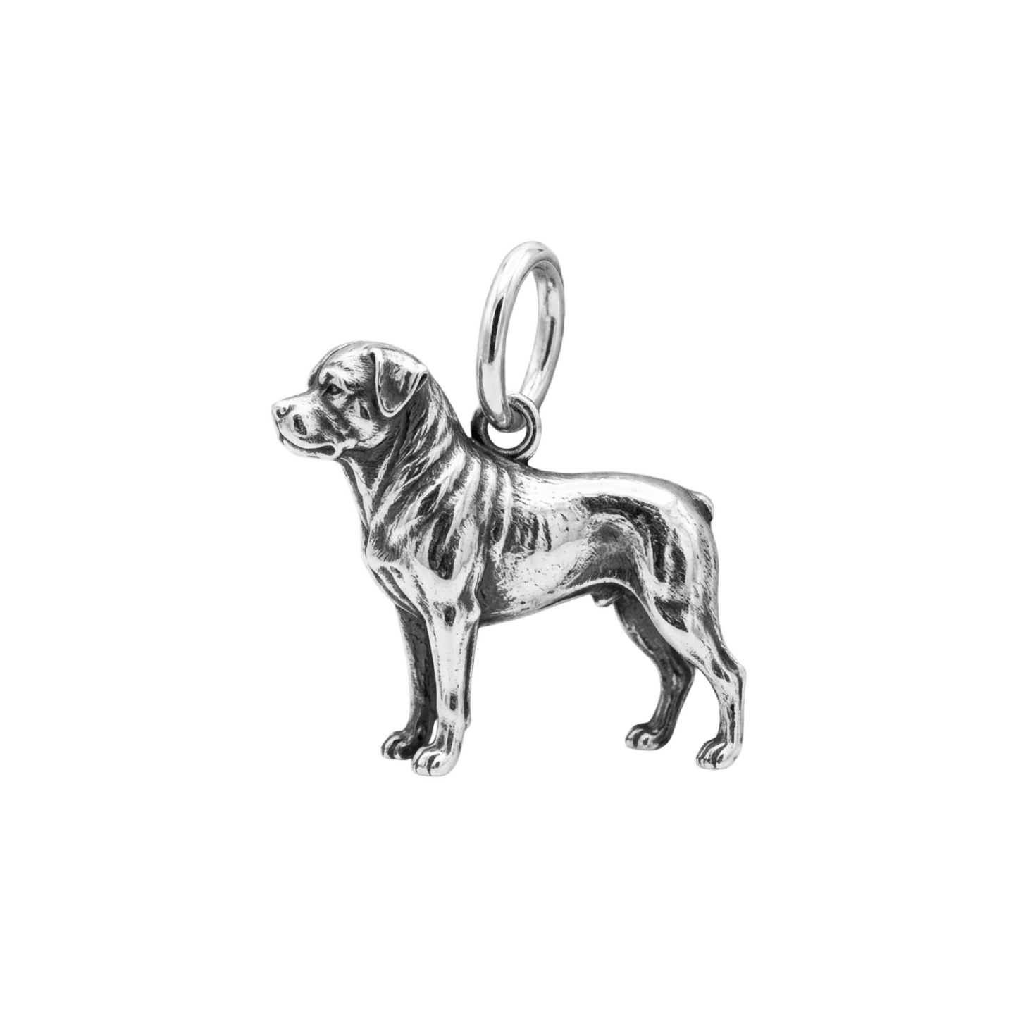 Rottweiler Charm Pendant