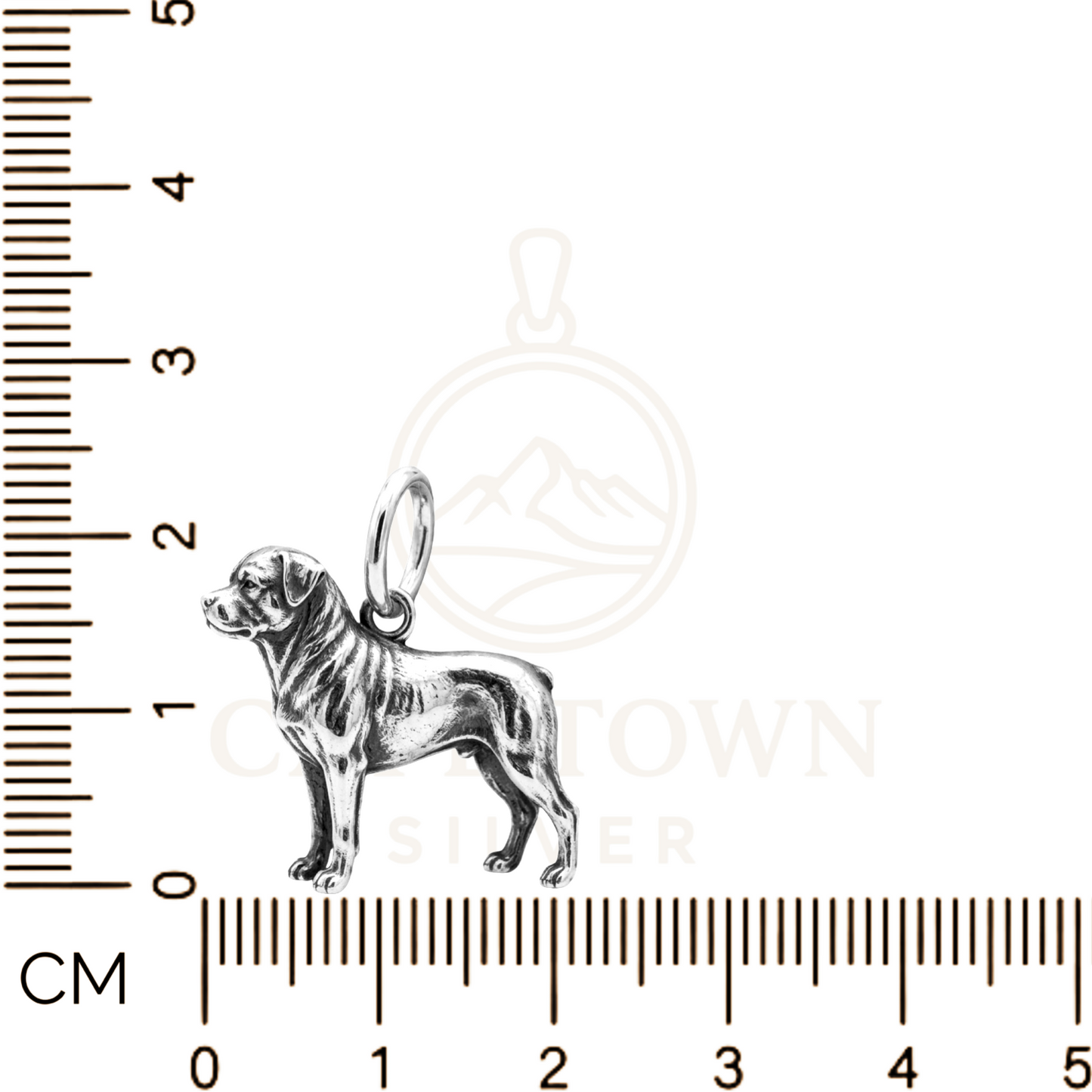 Rottweiler Charm Pendant