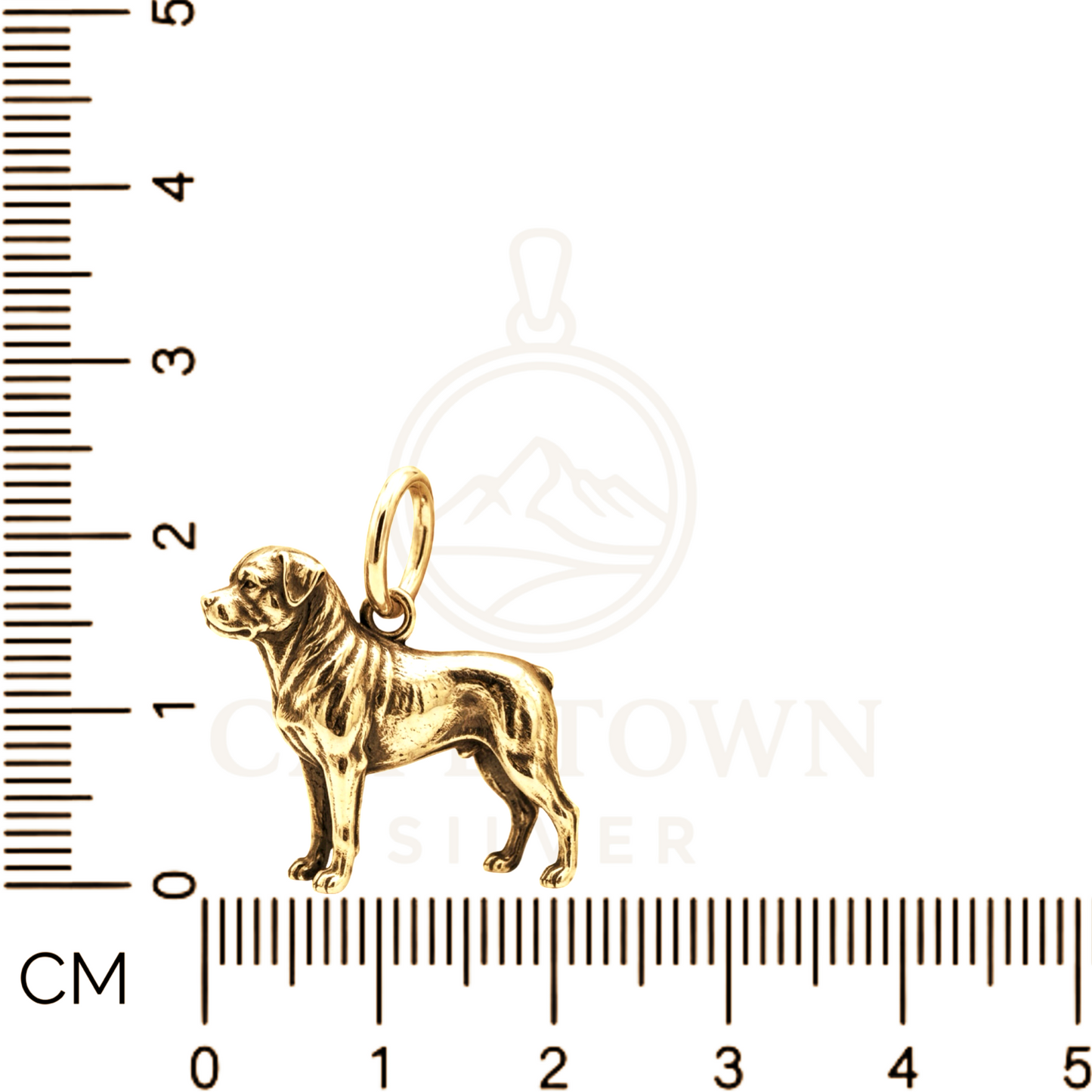 Rottweiler Charm Pendant