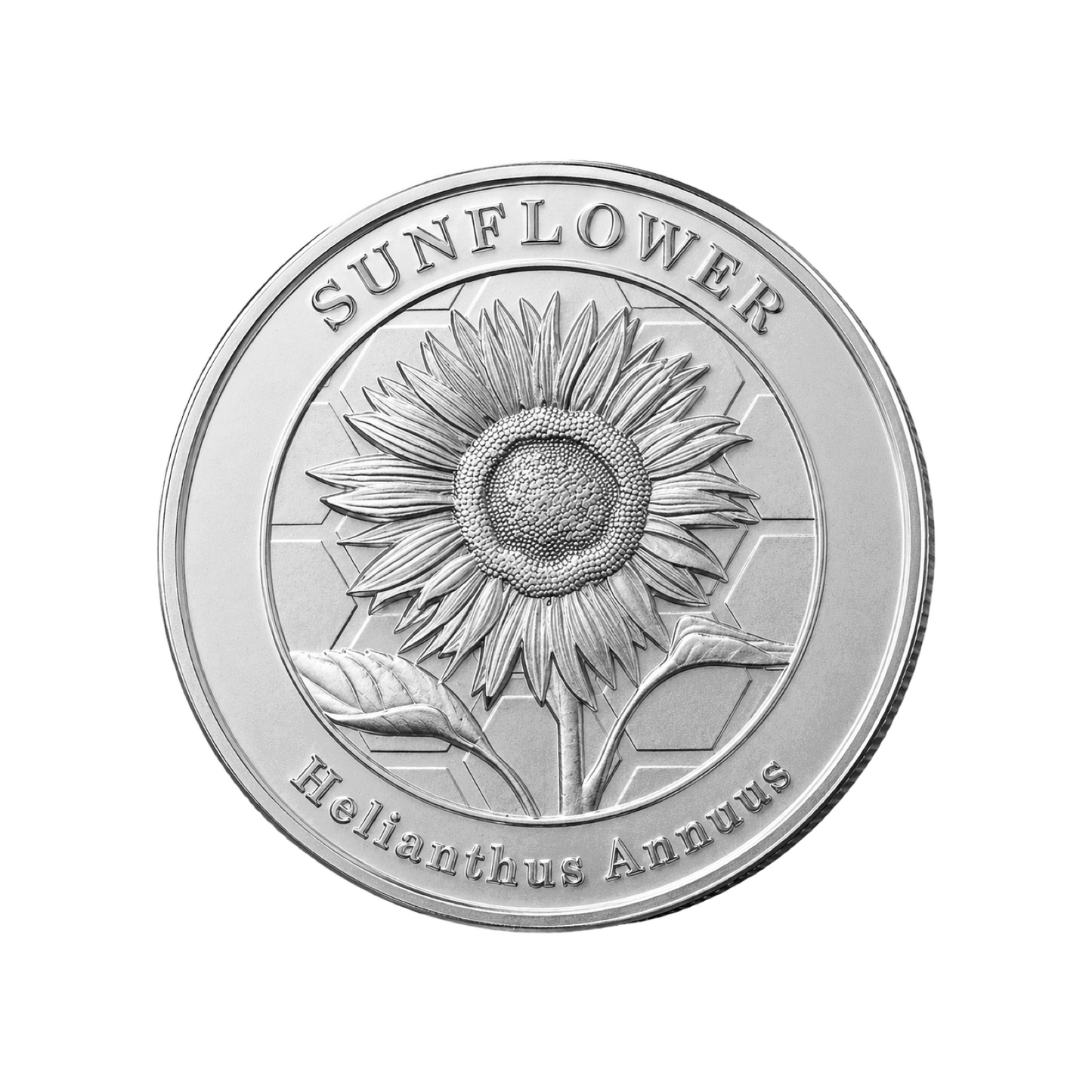 1 Oz Fine Silver 999.9 Coin