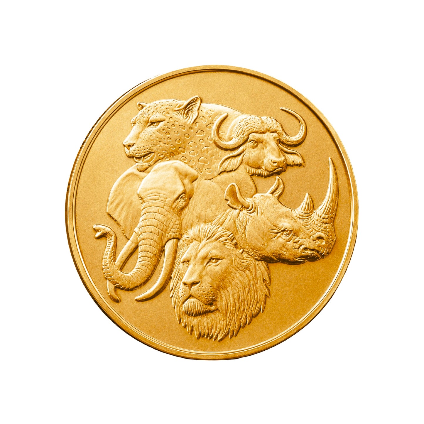 1 Oz Big Five Gold Coin
