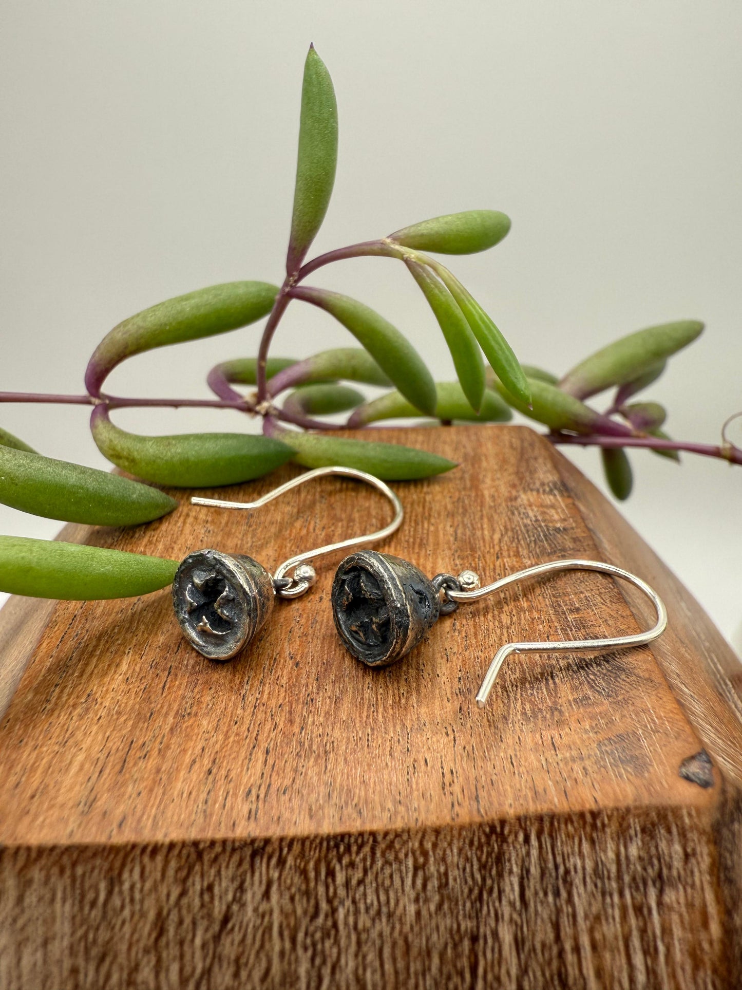 Eucalyptus Seed pods Earring Sterling Silver 925