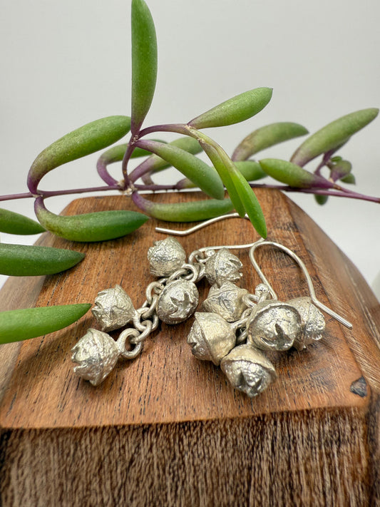 Eucalyptus seed cluster pod Earrings Sterling Silver 925