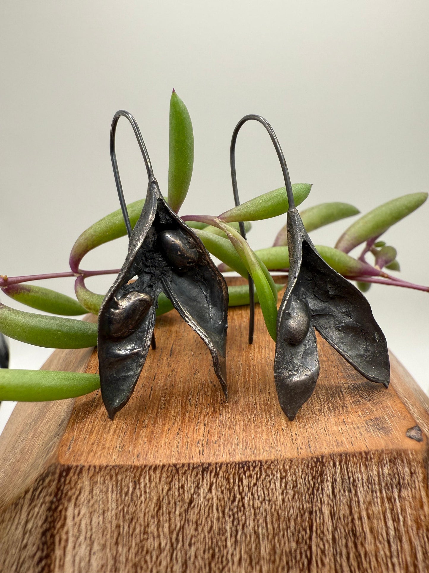Butterfly pea pods Earrings Oxidised Sterling Silver 925