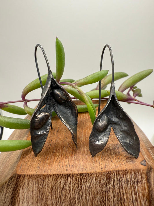 Butterfly pea pods Earrings Oxidised Sterling Silver 925