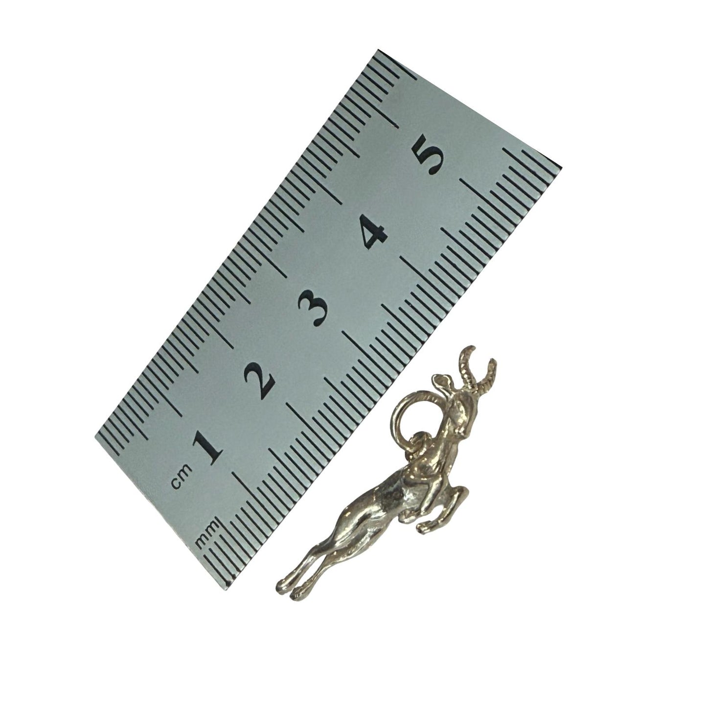 Official Springboks Pendant Sterling Silver 925