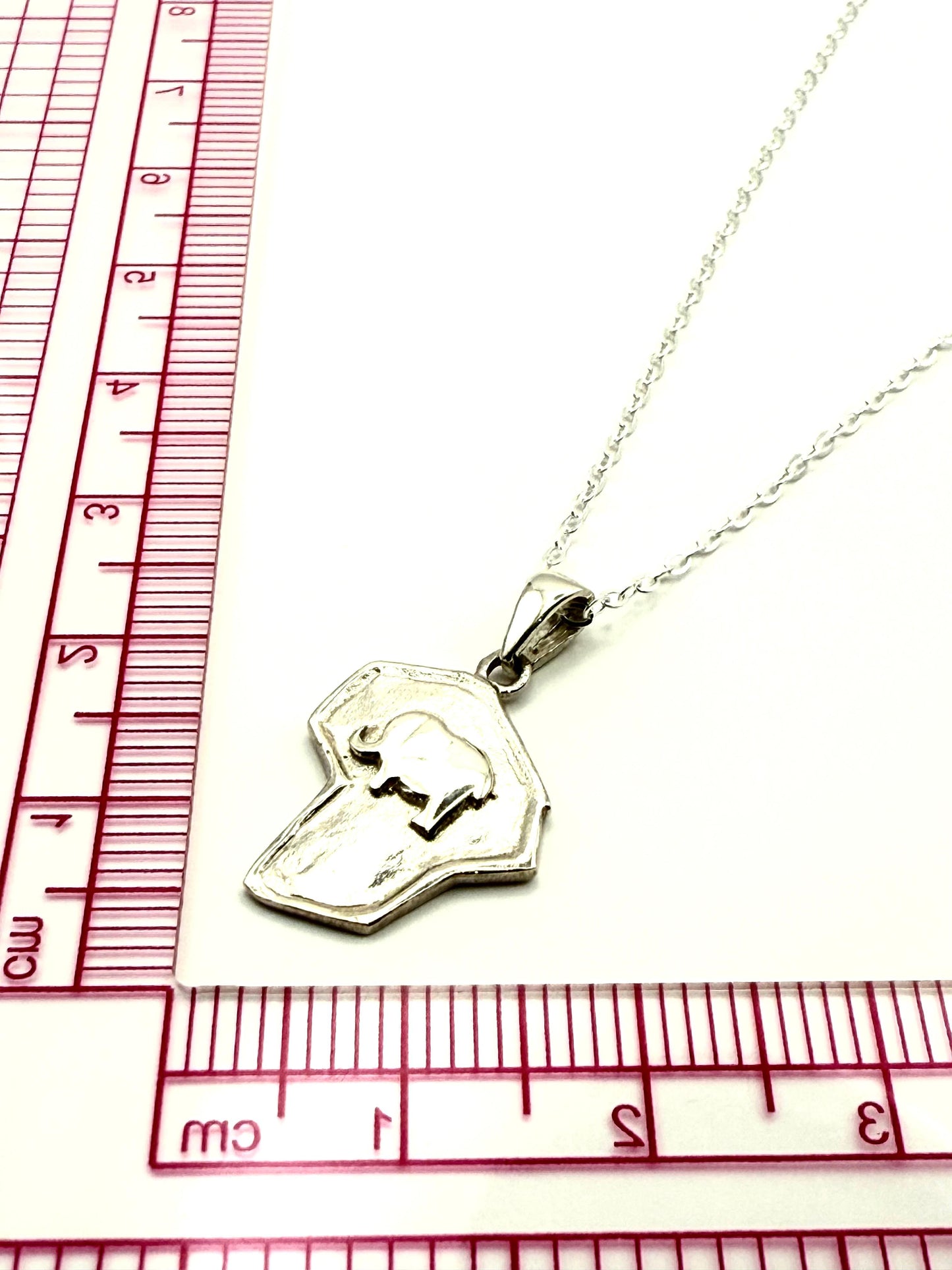 925 Sterling Silver Kruger Conservation Necklace