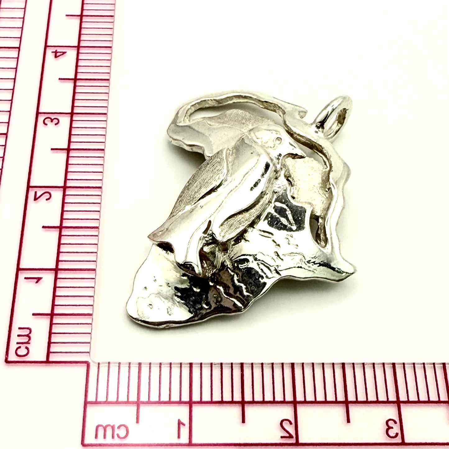 925 Sterling Silver Africa Map Penguin Pendant