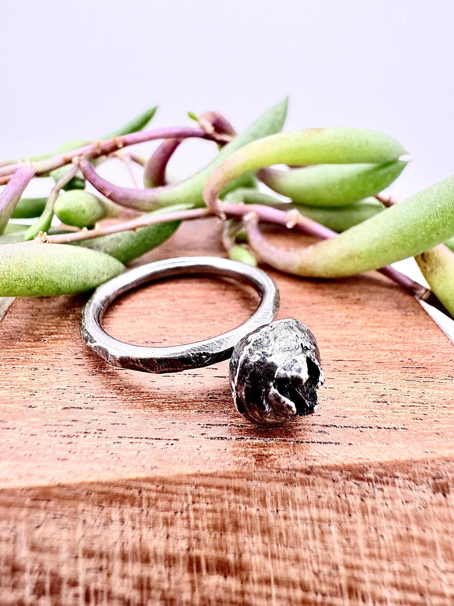 Eucalyptus Seed Ring Sterling Silver 925