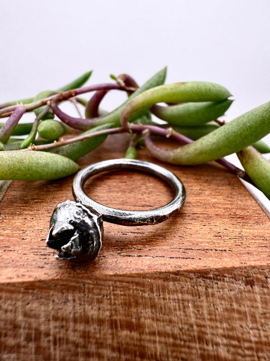 Eucalyptus Seed Ring Sterling Silver 925